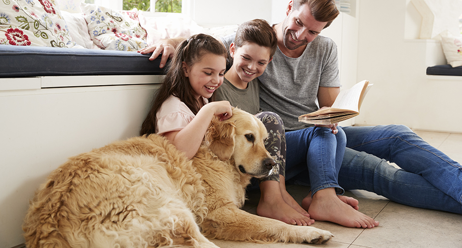 7 Advice to Keep You and Your Pet Safe on 2022